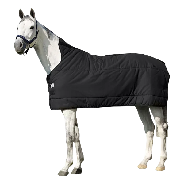 fundis-equestrian202607242045363272787