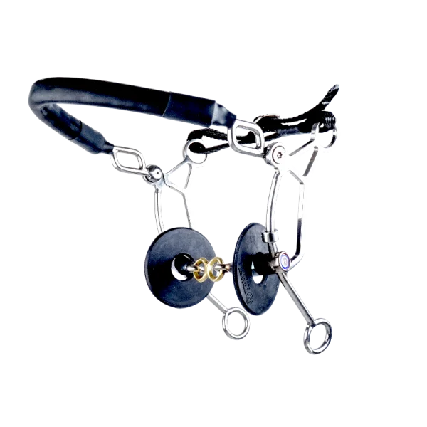 fundis-equestrian202607242046363272953