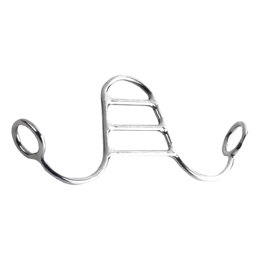 fundis-equestrian202607242047093273048