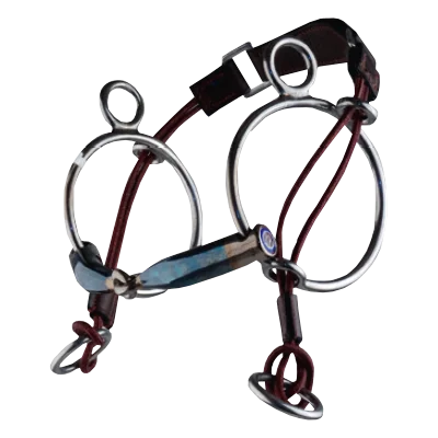 fundis-equestrian202607242047093273049