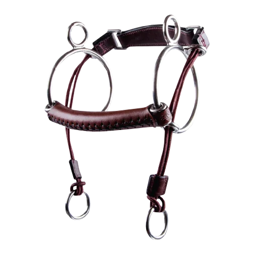 fundis-equestrian202607242047233273080