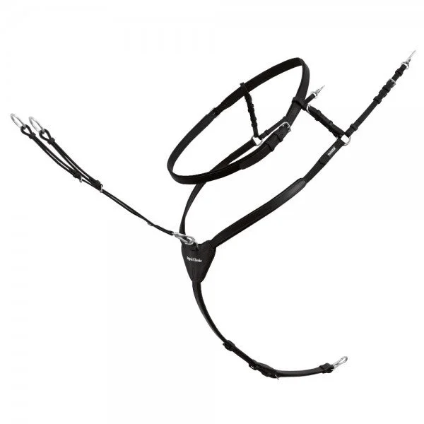 fundis-equestrian202607242058193274637