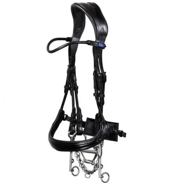 fundis-equestrian202607242111133276339