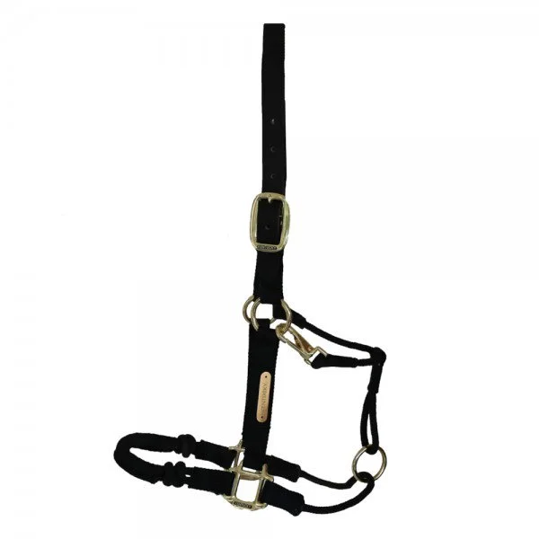 fundis-equestrian202607242113123276605