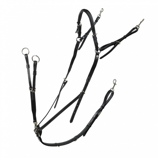 fundis-equestrian202607242113353276647