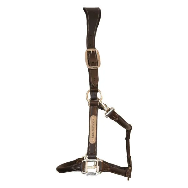 fundis-equestrian202607242117583277109