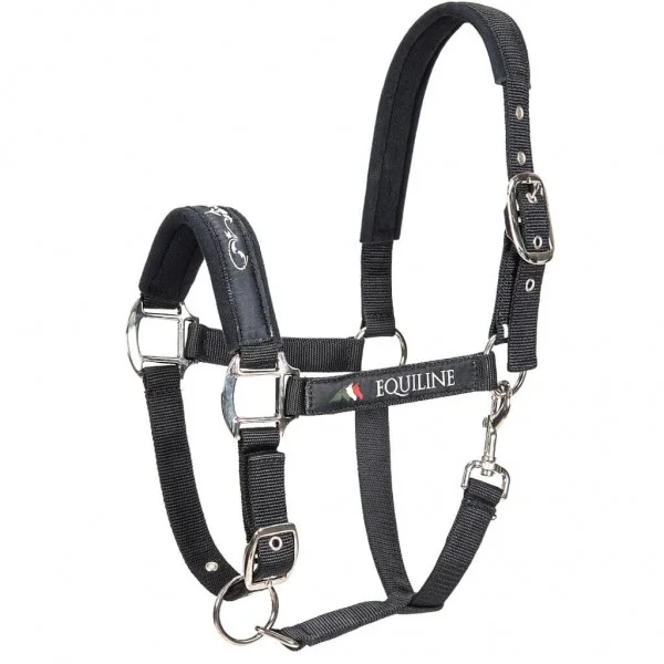 fundis-equestrian202607242120343277407