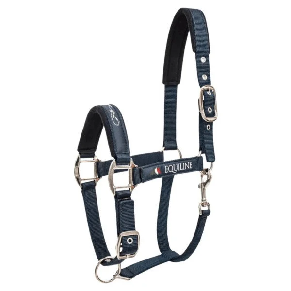 fundis-equestrian202607242120403277413