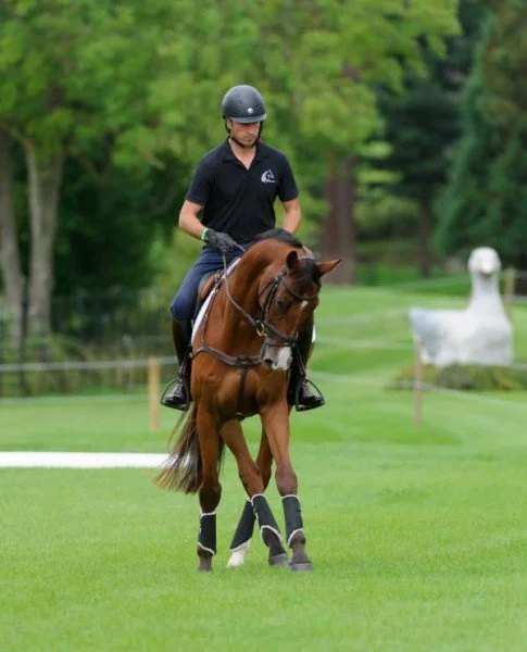 fundis-equestrian202607242121473277546