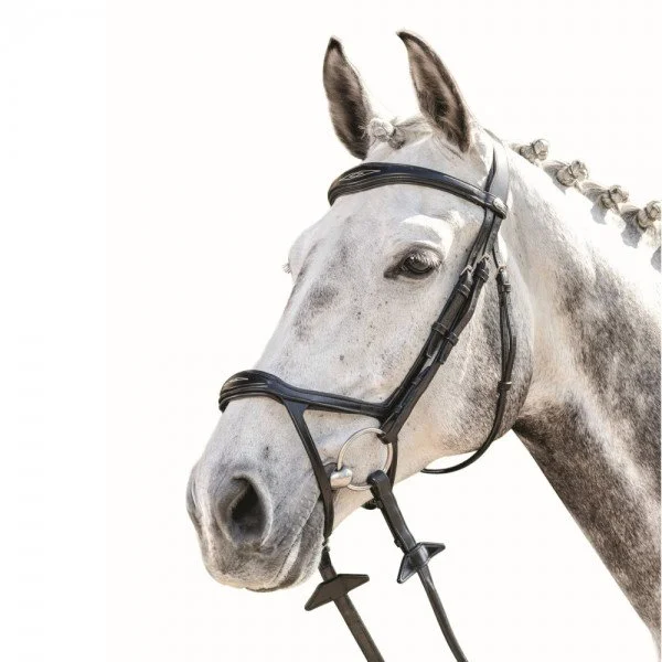 fundis-equestrian202607242126033278064