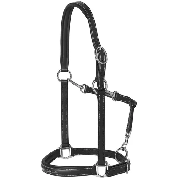 fundis-equestrian202607242126033278065