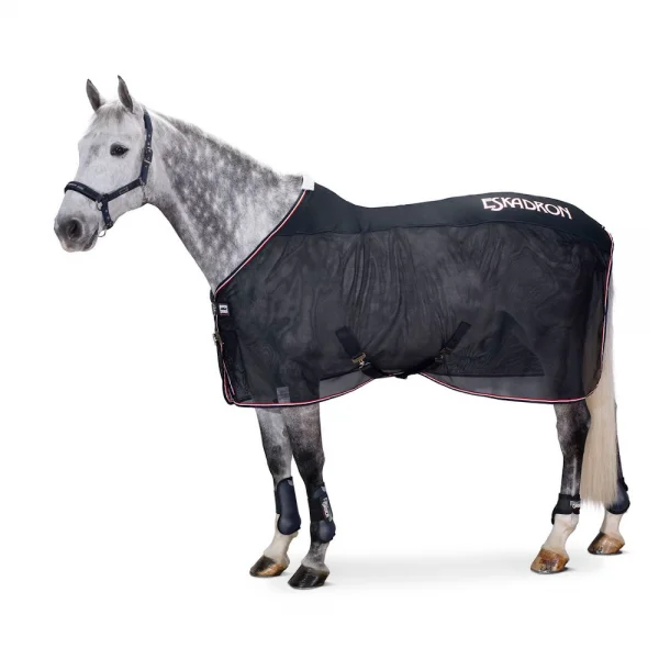 fundis-equestrian202607242128403278391