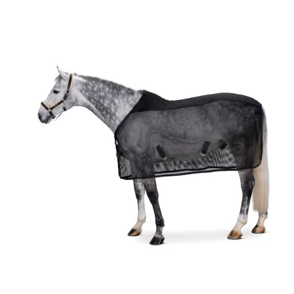 fundis-equestrian202607242128523278425