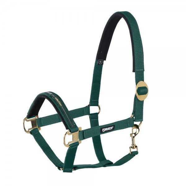 fundis-equestrian202607242129563278566
