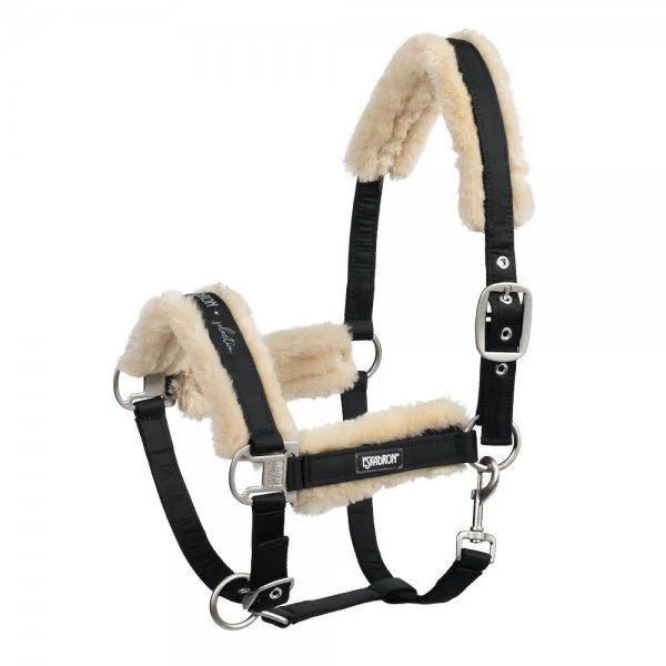 fundis-equestrian202607242130083278594