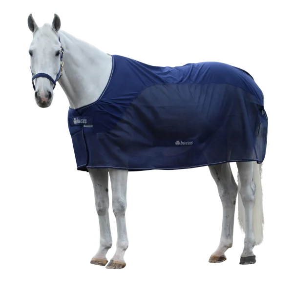 fundis-equestrian202607242131553278879