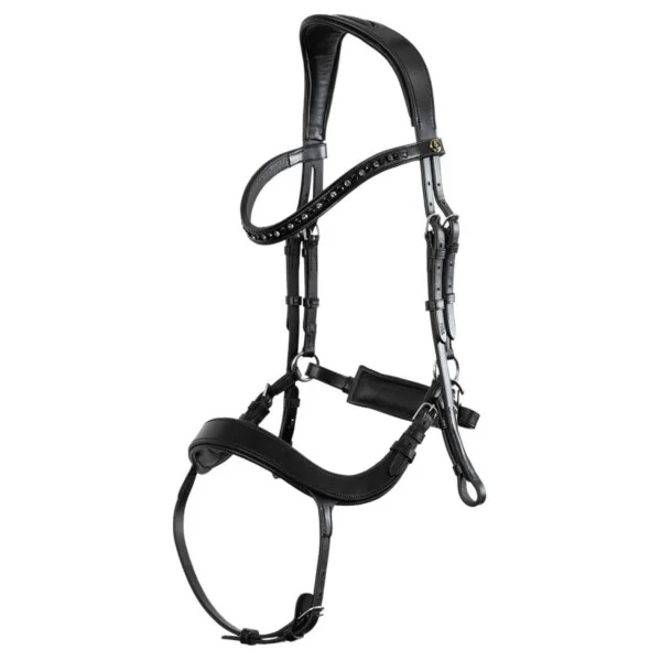 fundis-equestrian202607242133303279113