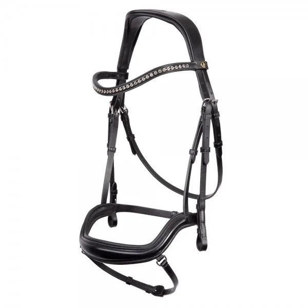 fundis-equestrian202607242133323279117