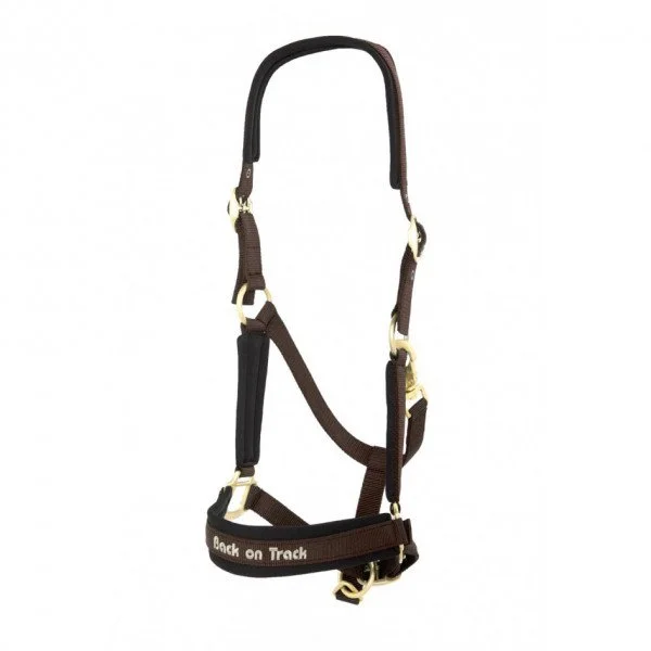 fundis-equestrian202607242134563279337