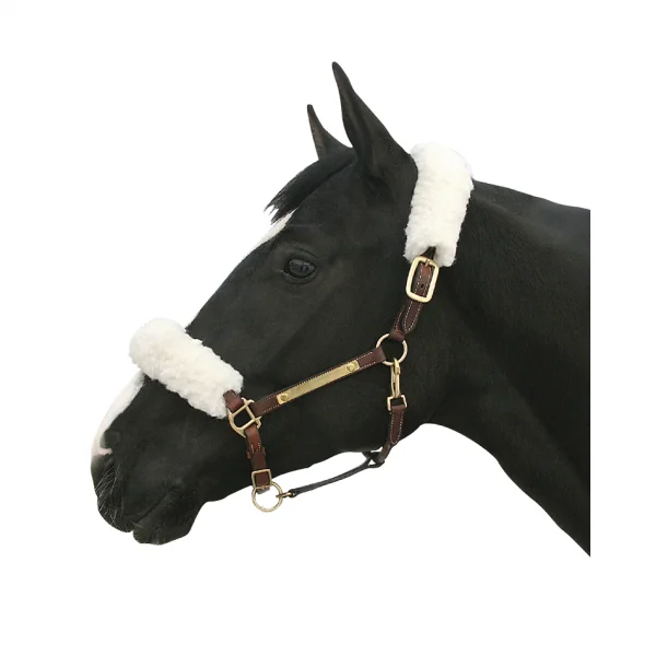 fundis-equestrian202607242135043279356