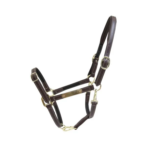 fundis-equestrian202607242135243279405