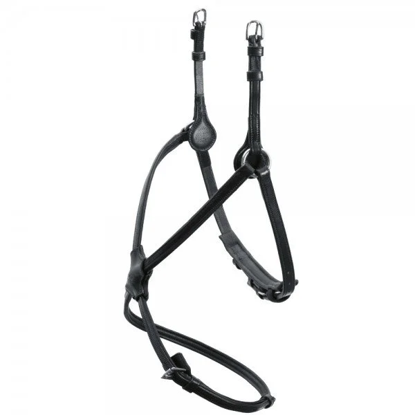fundis-equestrian202607242138533279869