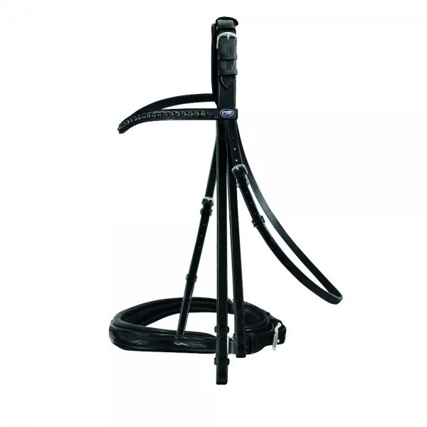 fundis-equestrian202607242139403279981