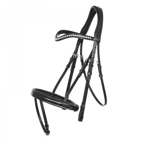 fundis-equestrian202607242142143280311