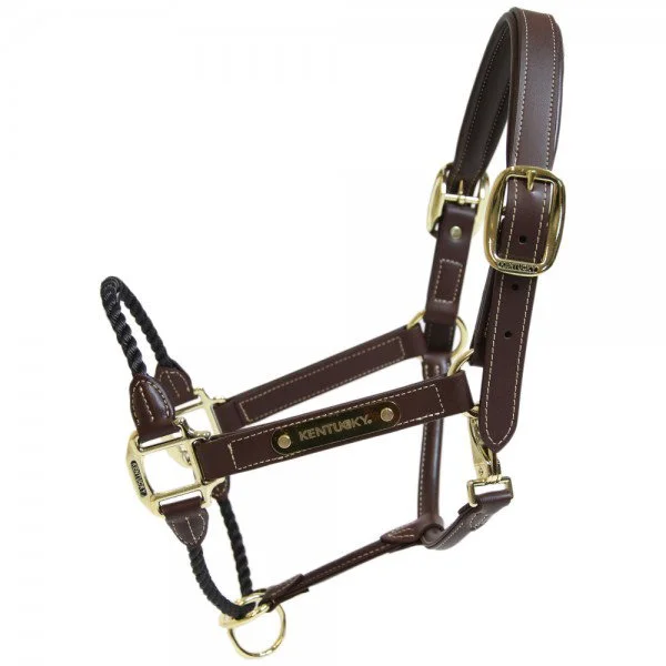 fundis-equestrian202607242143083280404