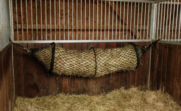 fundis-equestrian202607242147093280870
