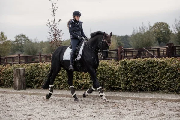 fundis-equestrian202607242149043281085
