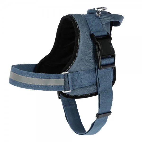 fundis-equestrian202607242150193281239