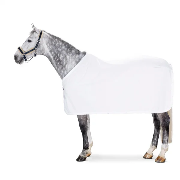 fundis-equestrian202607242153263281610