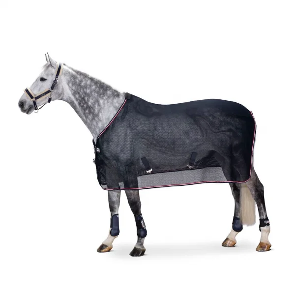 fundis-equestrian202607242153323281619