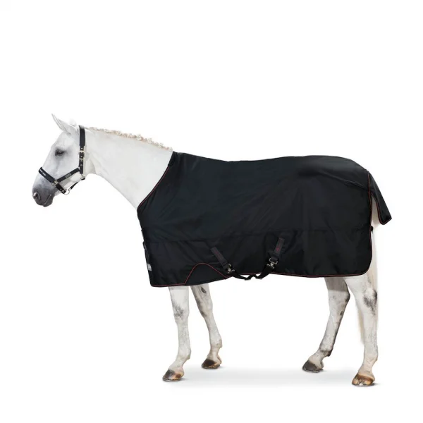 fundis-equestrian202607242154163281703