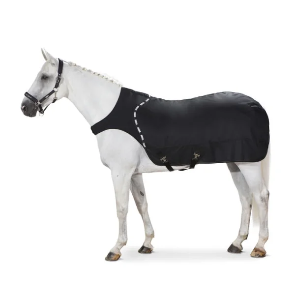 fundis-equestrian202607242154283281724