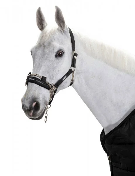 fundis-equestrian202607242156133281936