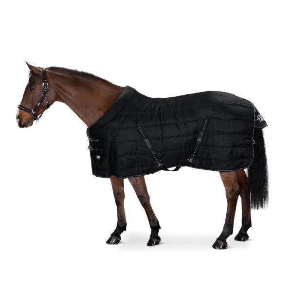 fundis-equestrian202607242204343282902