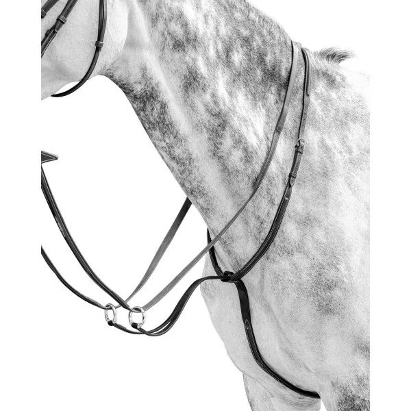 fundis-equestrian202607242212413283822