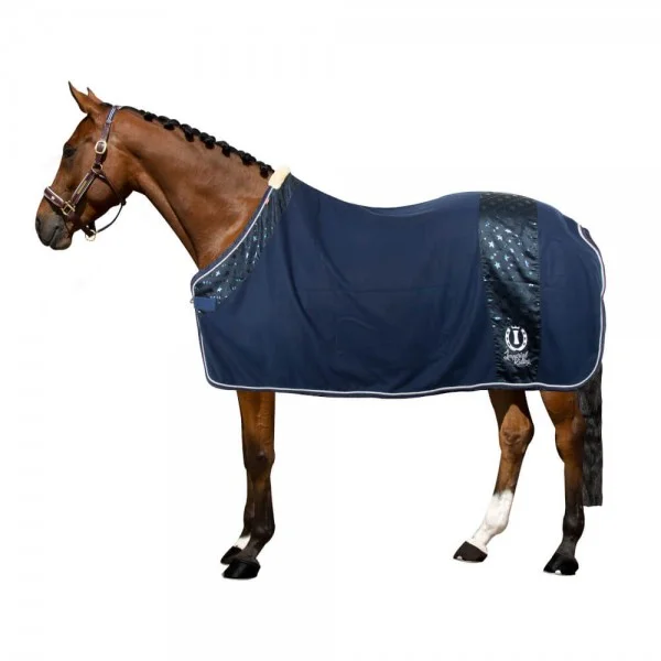 fundis-equestrian202607242215543284183
