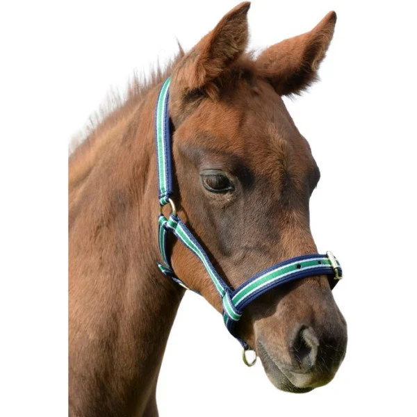 fundis-equestrian202607242216133284214