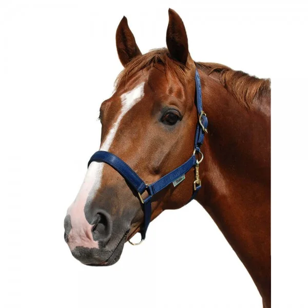 fundis-equestrian202607242216153284217