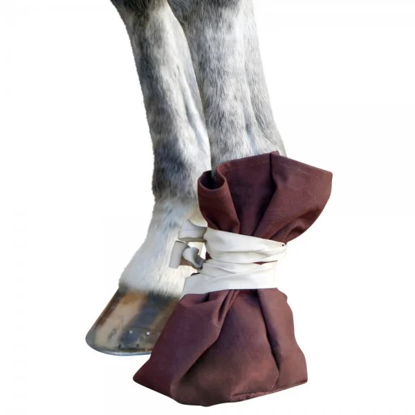 fundis-equestrian202607242218363284502