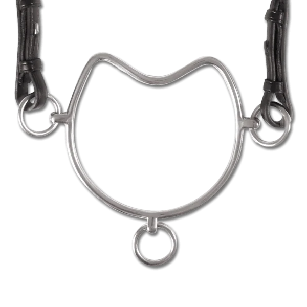 fundis-equestrian202607242221553284893