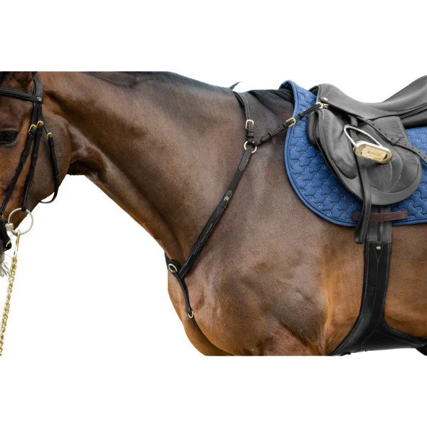 fundis-equestrian202607242228003285618