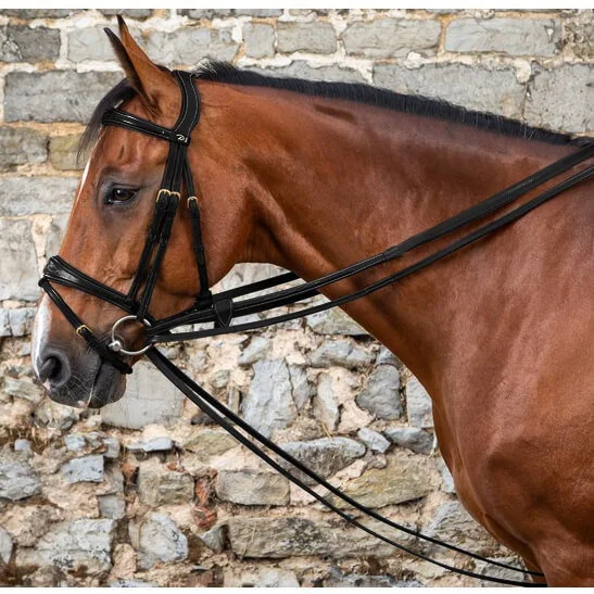 fundis-equestrian202607242228093285635