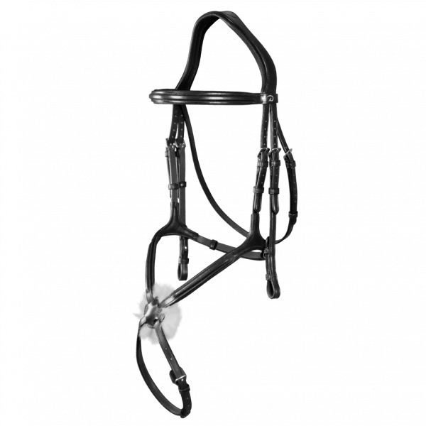 fundis-equestrian202607242228573285708