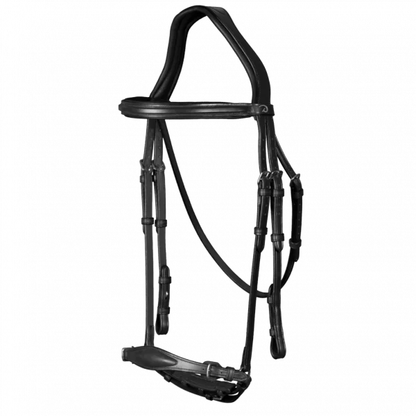 fundis-equestrian202607242229093285728
