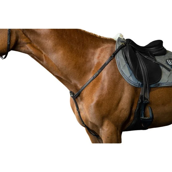fundis-equestrian202607242229513285796