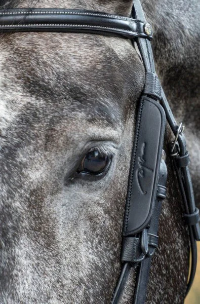 fundis-equestrian202607242230293285860